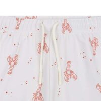 Plavky Boxerky s UPF 50+ Little Lobster – náhľad 2