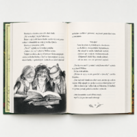 Dievča menom Willow 3 - Šelest krídel – náhľad 2