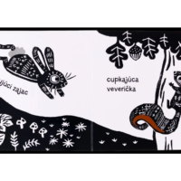 Zvieratá – náhľad 2