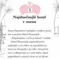 Hotel Plameniak 1 – náhľad 2