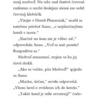 Hotel Plameniak 1 – náhľad 3