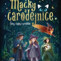 Mačky a čarodejnice Čary, chyby a priatelia – náhľad 1