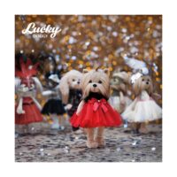 Lucky Doggy Plyšový psík Yorkšírka - Yoyo Fiesta – náhľad 3