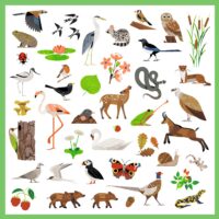 Samolepky Fauna 160 ks – náhľad 3