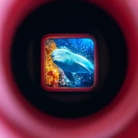 Retro 3D prehliadač obrázkov Rose – náhľad 3
