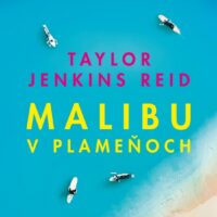 Malibu v plameňoch – náhľad 1