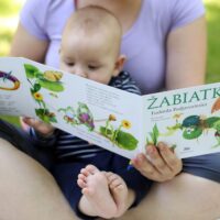 Žabiatko – náhľad 2