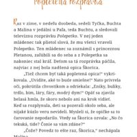 Opica Škorica znova čaruje – náhľad 2