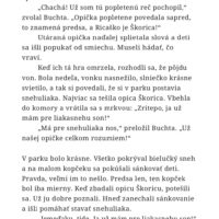 Opica Škorica znova čaruje – náhľad 3