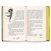 Dievča menom Willow – náhľad 3