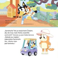 Bluey Zoo – náhľad 3