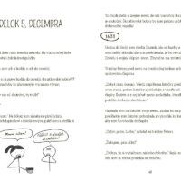 Strašne chaotické Vianoce Lottie Brooksovej – náhľad 2