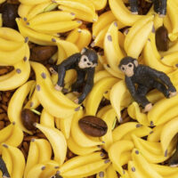 Zvuková fľaša Monkey – náhľad 3