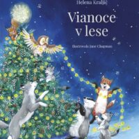 Vianoce v lese – náhľad 1